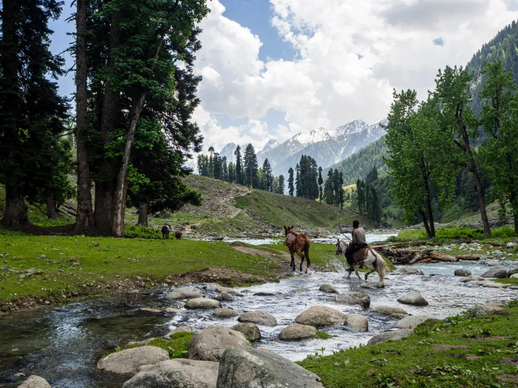Aru Valley
